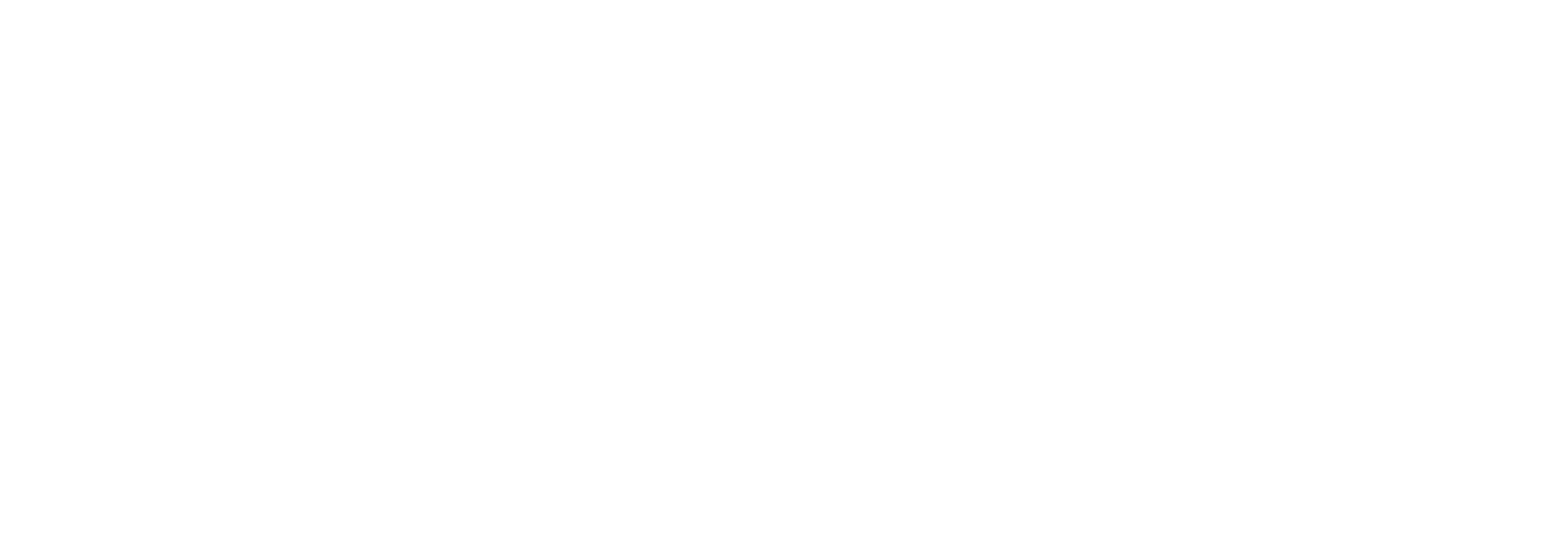 Niederle.it Logo